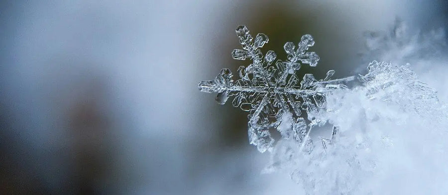 Zo bereid je je (opvouwbare) regenton voor op de winter ❄️💧