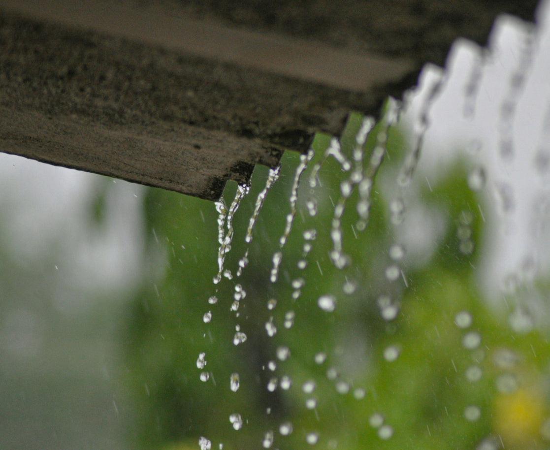 Regenwater opvangen door het jaar heen (Tip)