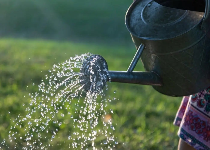 Een regenton in je tuin… maar dan zonder dat ’ie in de weg staat