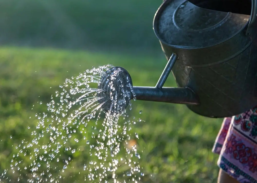 Een regenton in je tuin… maar dan zonder dat ’ie in de weg staat