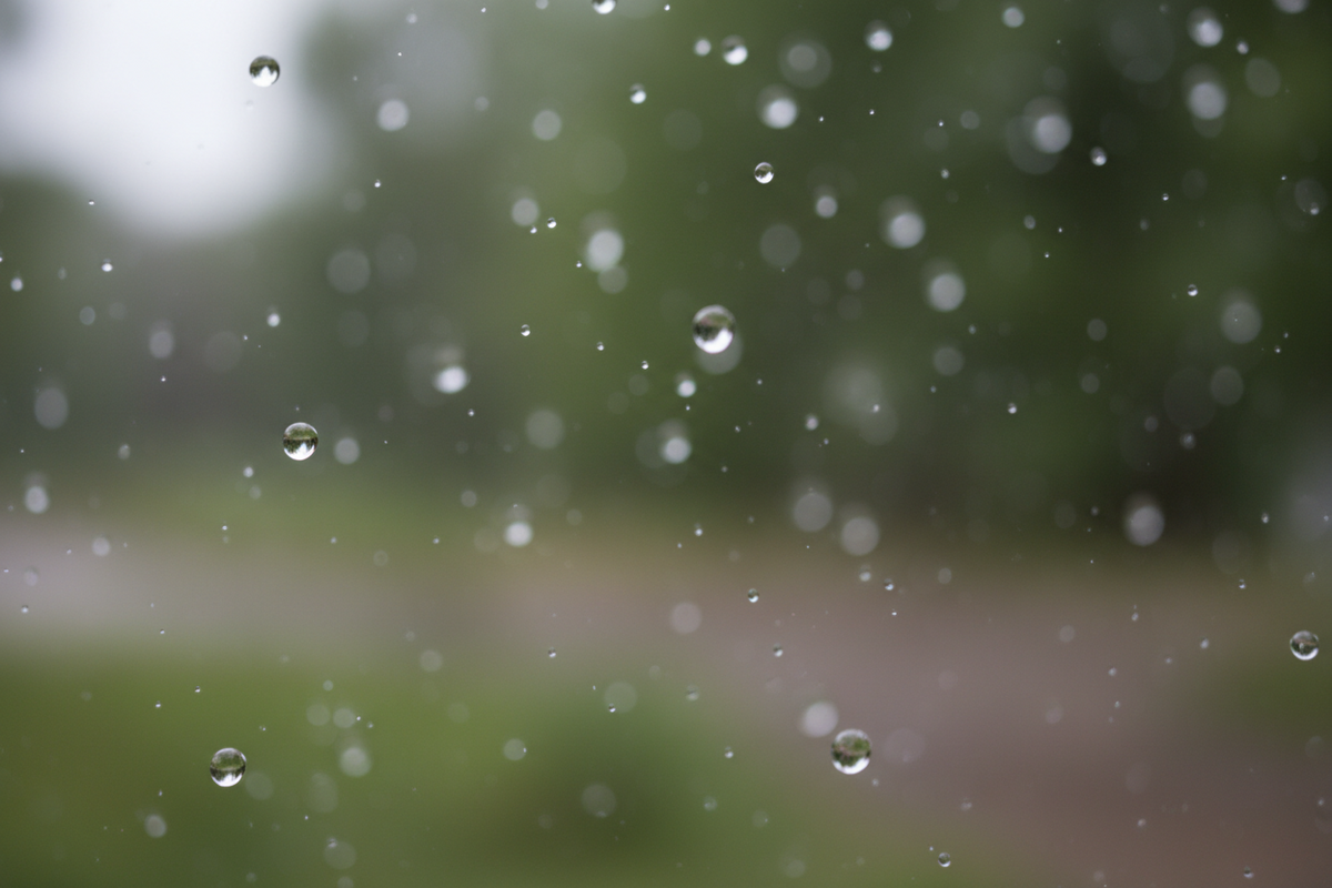 Mag je regenwater drinken? Wat je wél en niet kunt doen met regenwater