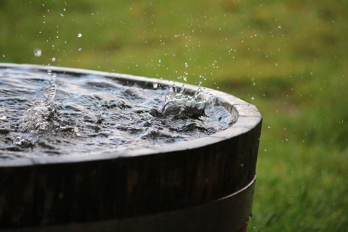 Regenwater opvangen zonder gedoe