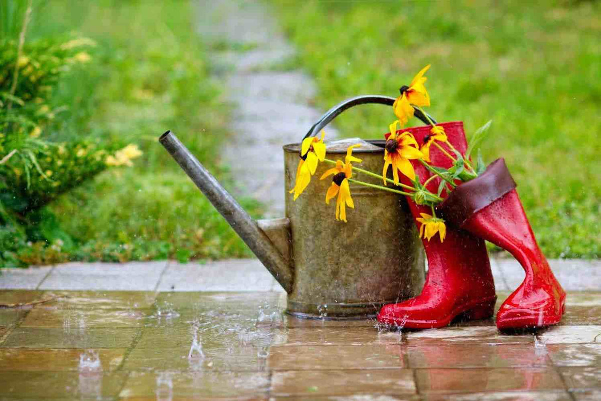 Lente komt eraan: zo zet je je regenton klaar voor een zorgeloze start van het groeiseizoen
