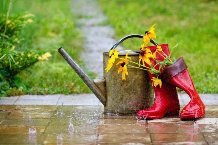 Lente komt eraan: zo zet je je regenton klaar voor een zorgeloze start van het groeiseizoen